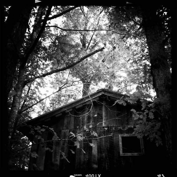 Hip 339453310.645802