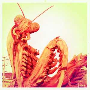 Hip 340993207.611670