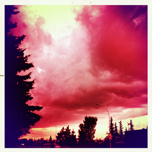 Hip 334635167.118087