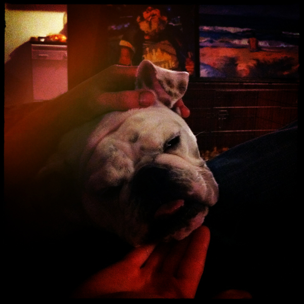 Hip 341729088.203292