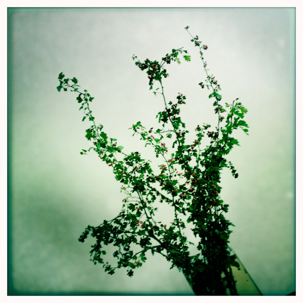 Hip 341729556.327549