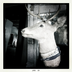 Hip 316382836.036774