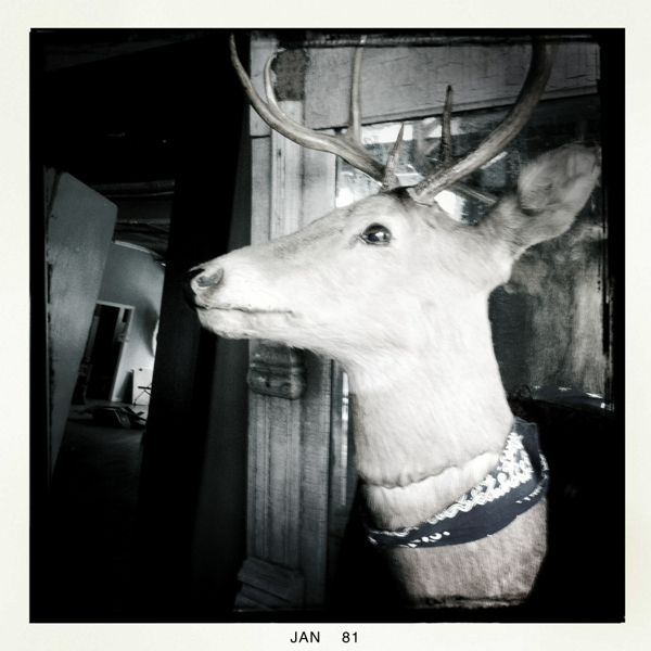 Hip 316382836.036774