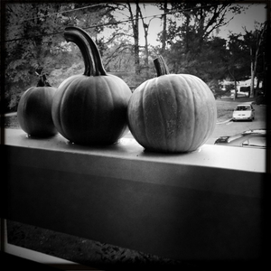 Hip 341704994.774901