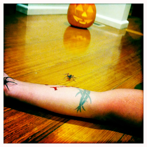 Hip 341671090.337117