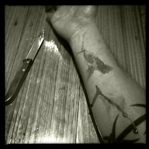 Hip 341671822.182151