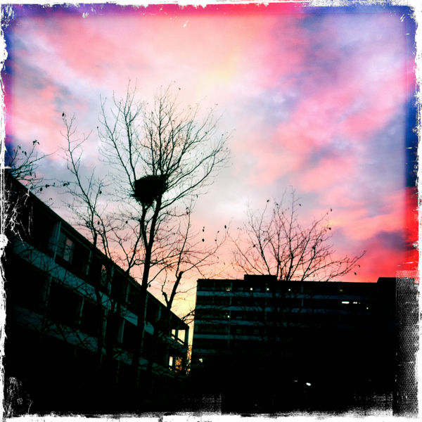 Hip 341735241.175563