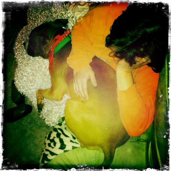 Hip 341123490.633278