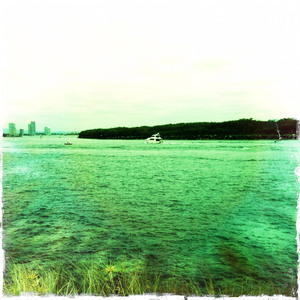 Hip 341543555.982585