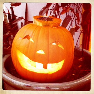 Hip 341742335.942867