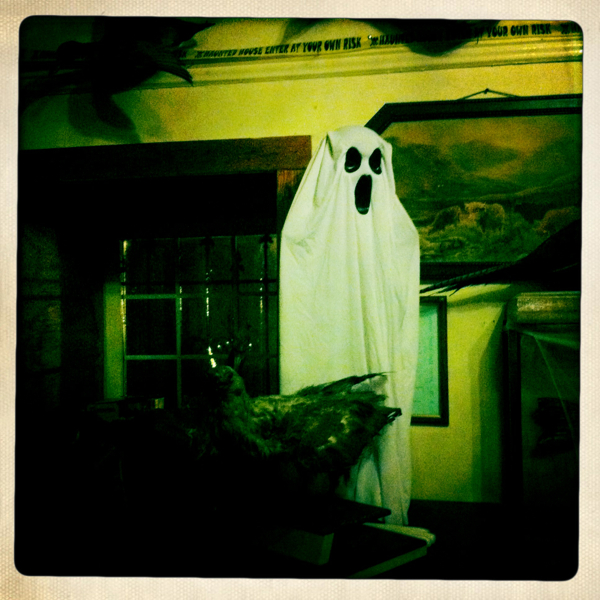 Hip 341007943.031982