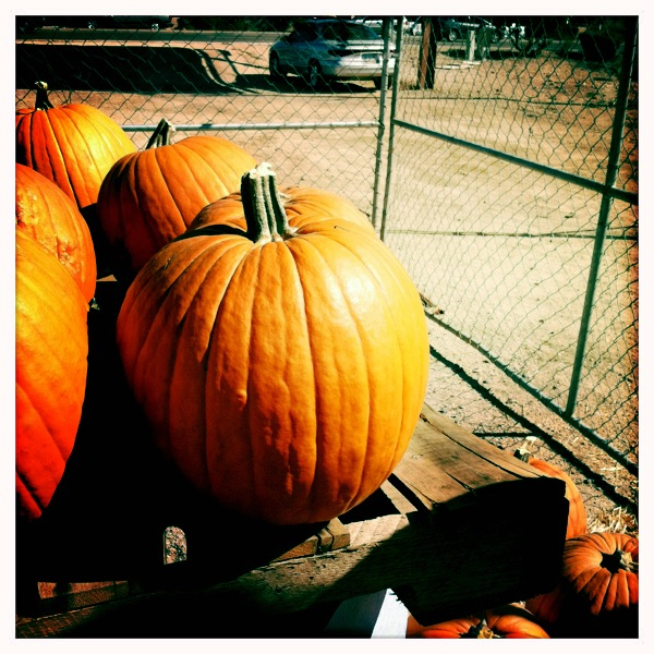 Hip 341698798.280762