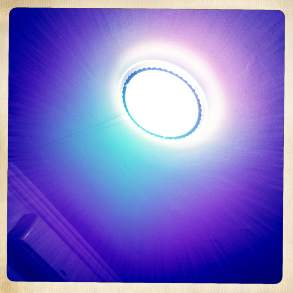 Hip 341756531.141707