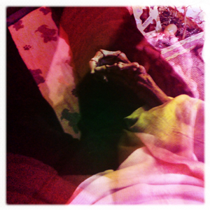 Hip 329691680.432732