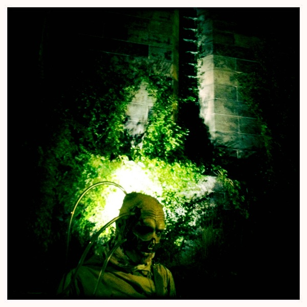 Hip 341642116.132068