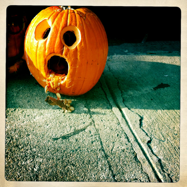 Hip 341155178.629061