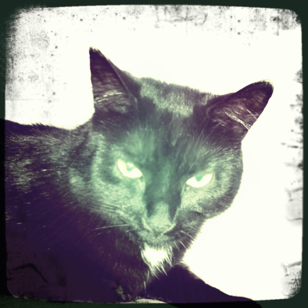 Hip 341765849.343892