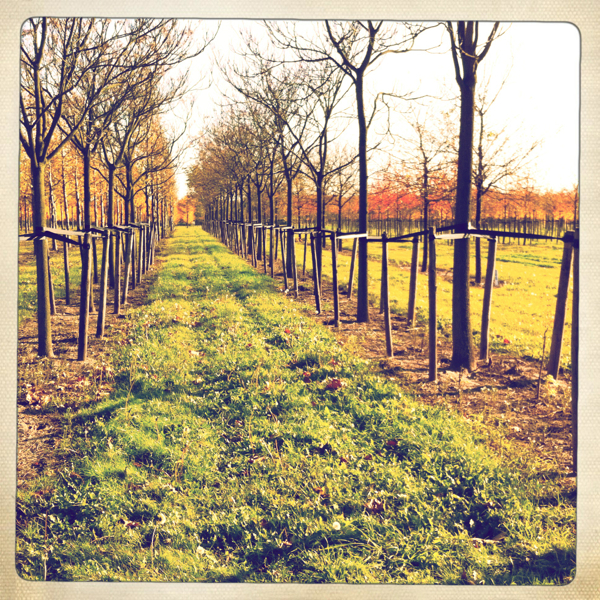 Hip 341757158.943134