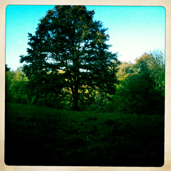 Hip 341760809.977459