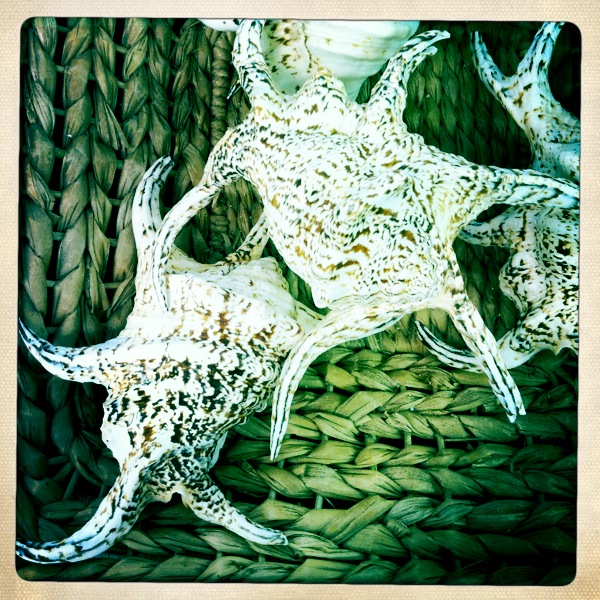 Hip 340909995.051666