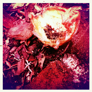 Hip 341553623.907506