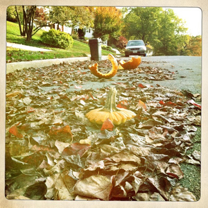 Hip 341759406.250054