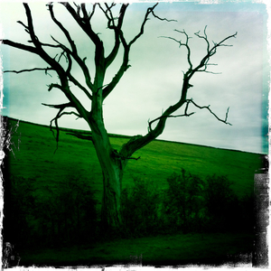 Hip 341414823.272640