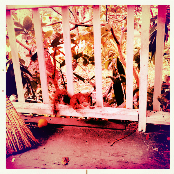 Hip 341770905.179221