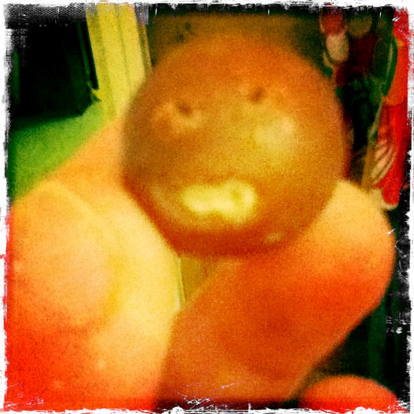 Hip 341772495.658037