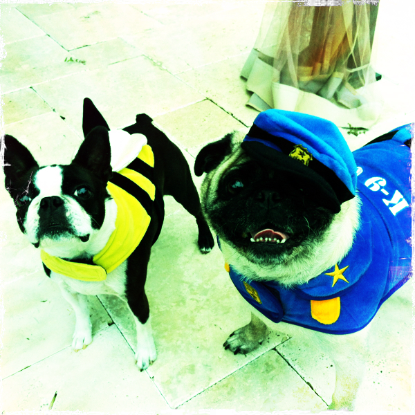 Hip 341530126.672984