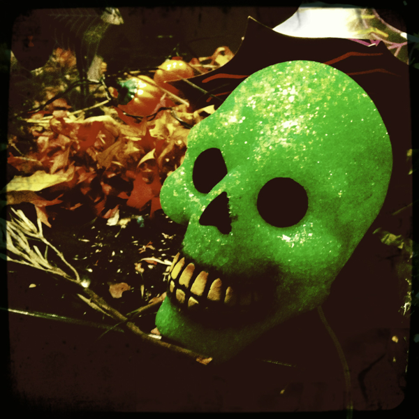 Hip 341710041.962183