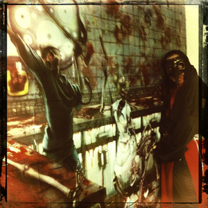 Hip 341634669.087808