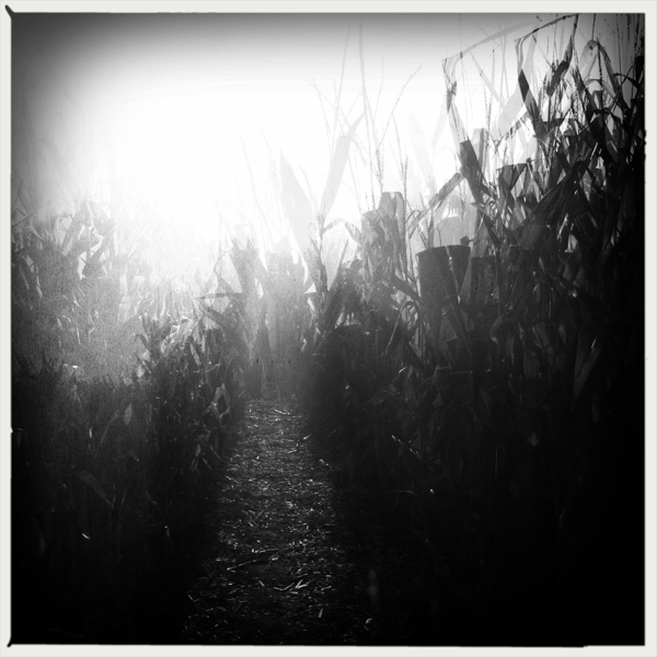 Hip 337474022.362775