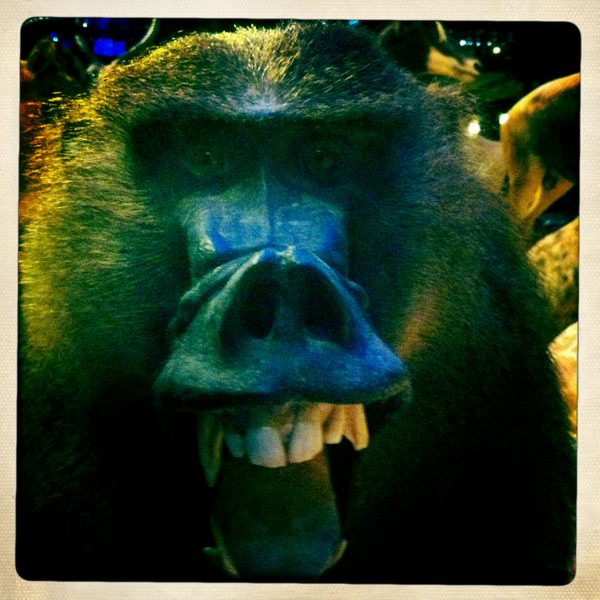 Hip 341673297.666827