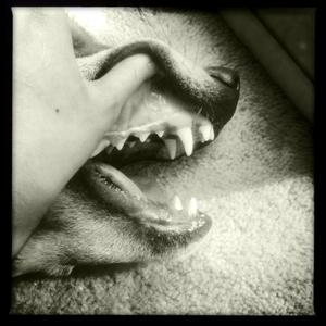 Hip 341776385.949696