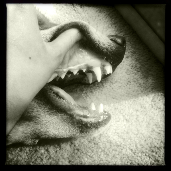 Hip 341776385.949696