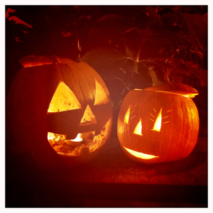 Hip 341778046.448859