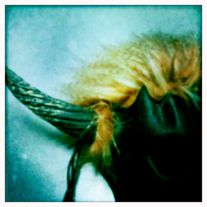 Hip 341782254.679546