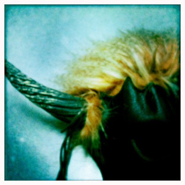 Hip 341782254.679546