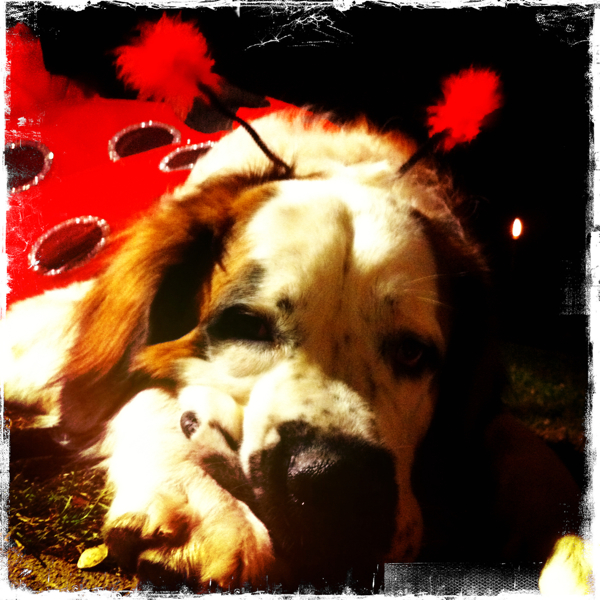 Hip 341641027.190769