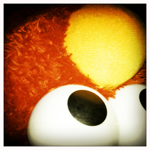 Hip 333559482.149893