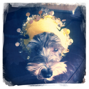 Hip 341095753.605255