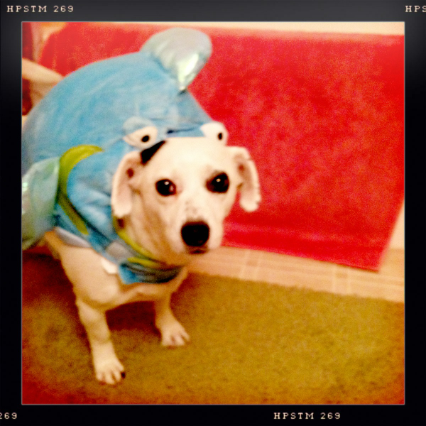 Hip 341783298.708407