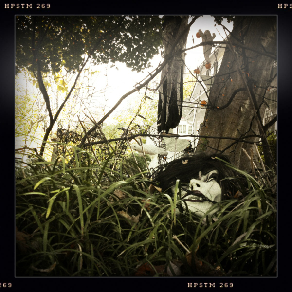 Hip 341775530.390018