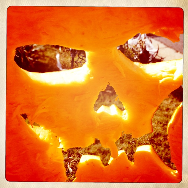 Hip 341781073.324907