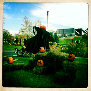 Hip 341009202.527287