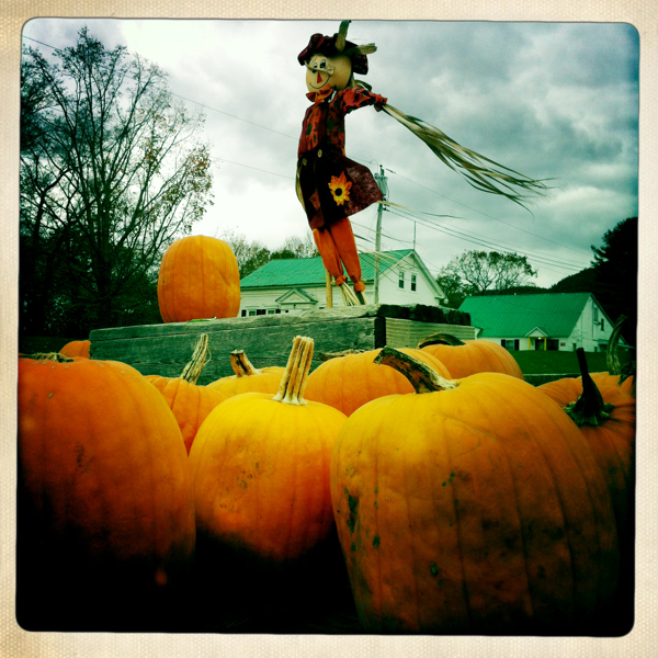 Hip 340390843.253654