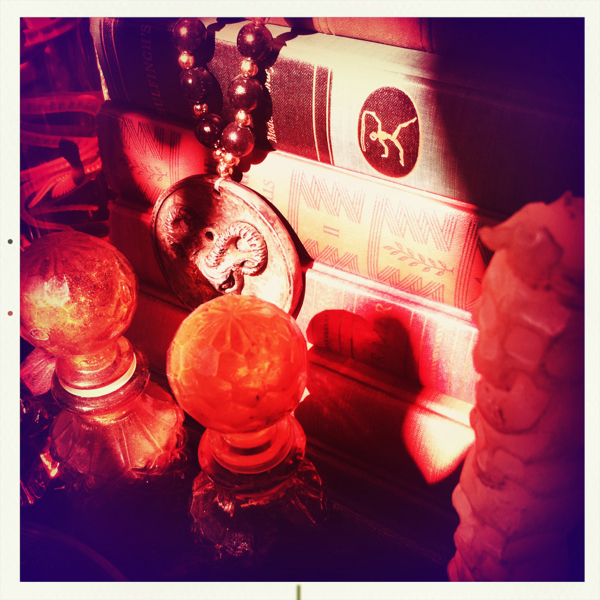 Hip 341786567.031086