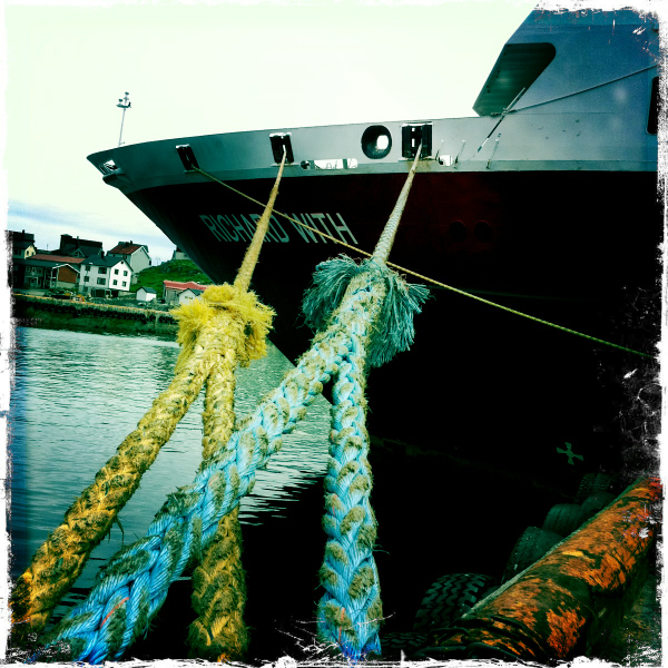 Hip 330614366.836357