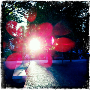 Hip 330807203.477691